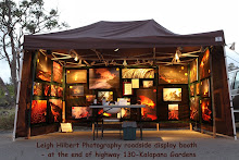 Leigh's Roadside Photo Display