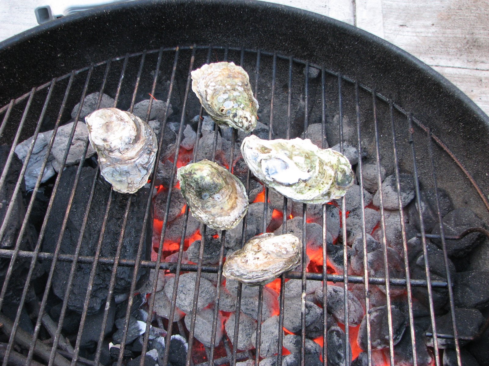 [IMG_2204.JPG]