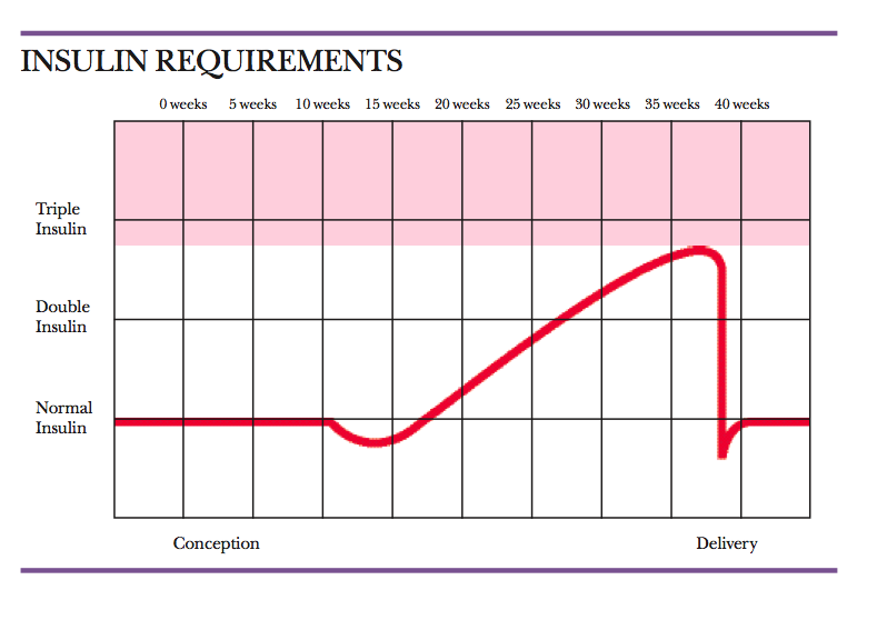Lap Band Pregnancy Meeting with Nutritionist
