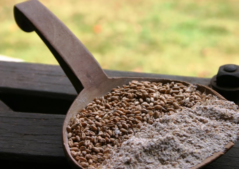 Like a Bubbling Brook {faith, homemaking, food} Why Grind Your Own Grain?