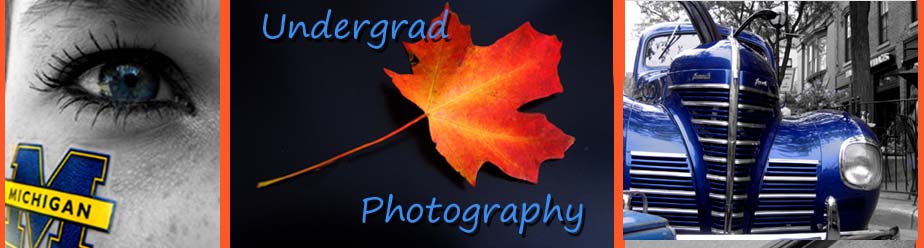 The Undergrad's Photography
