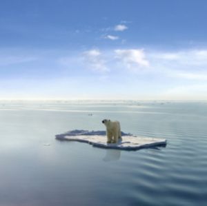 [300px-The_Last_Polar_Bear.jpg]