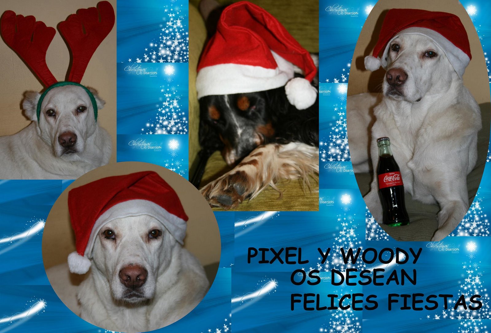 [Pixel+y+Woody+navideños.jpg]