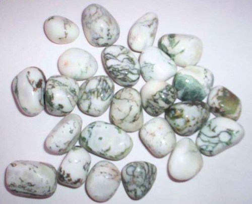 Tree Agate Tumbled Stone