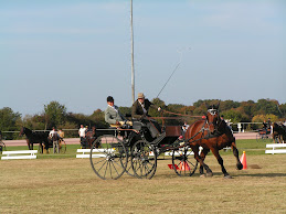 Patrice BAGILET et GRAND MARAIS remportent la COUPE DE FRANCE 2008