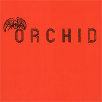 orchid.gif