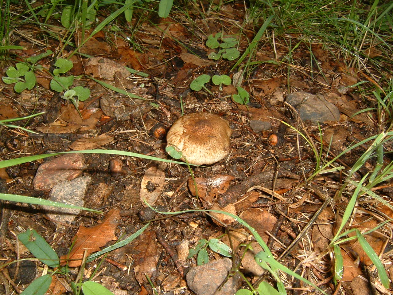 [DSCF0003.JPG]