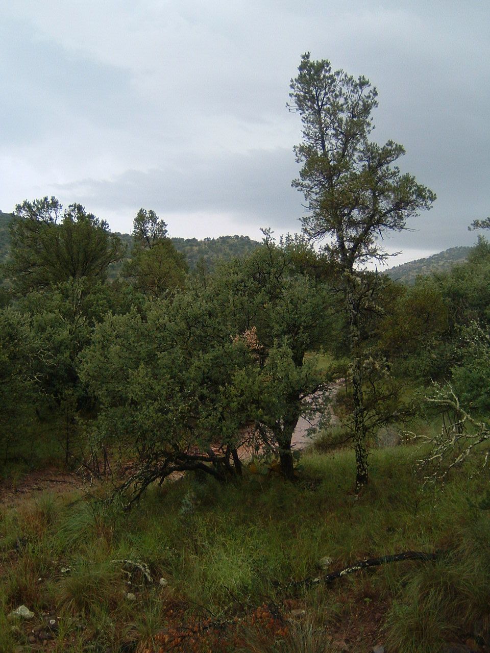 [DSCF0020.JPG]