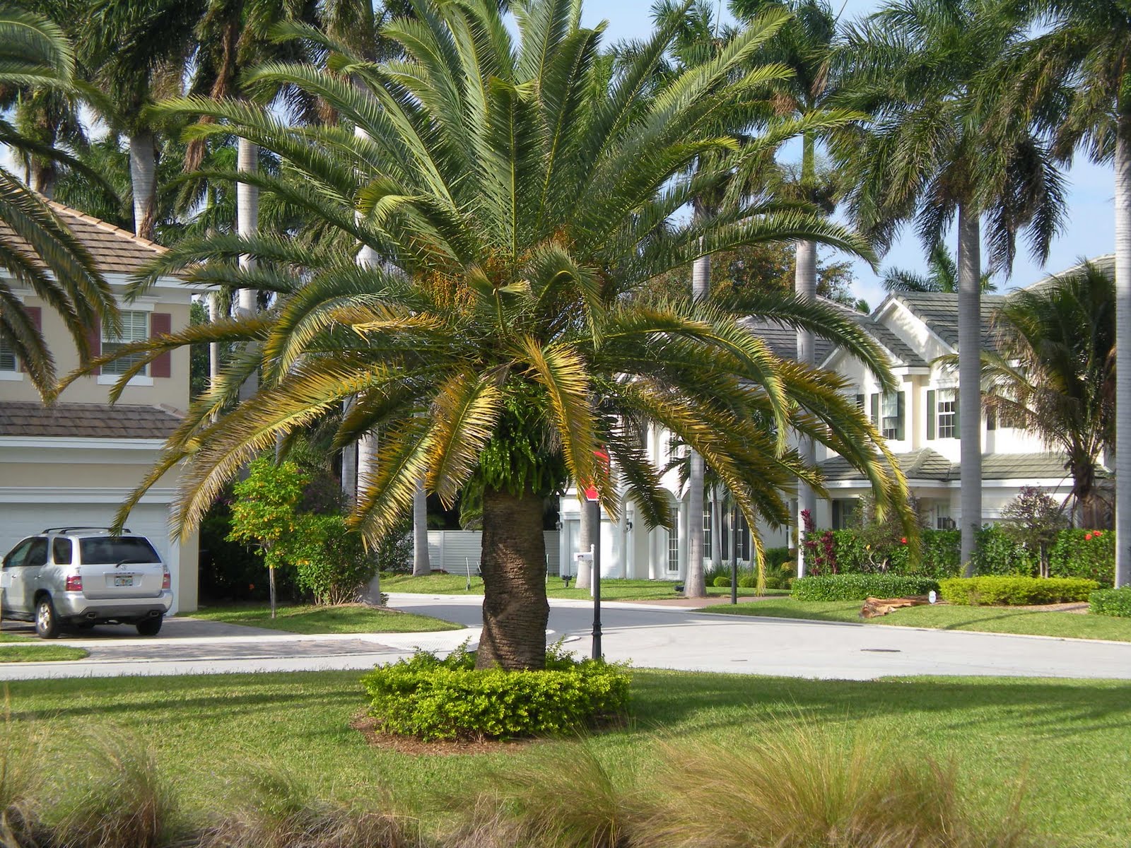 "La Preserve" gated community in Fort Lauderdale "La Preserve" gated