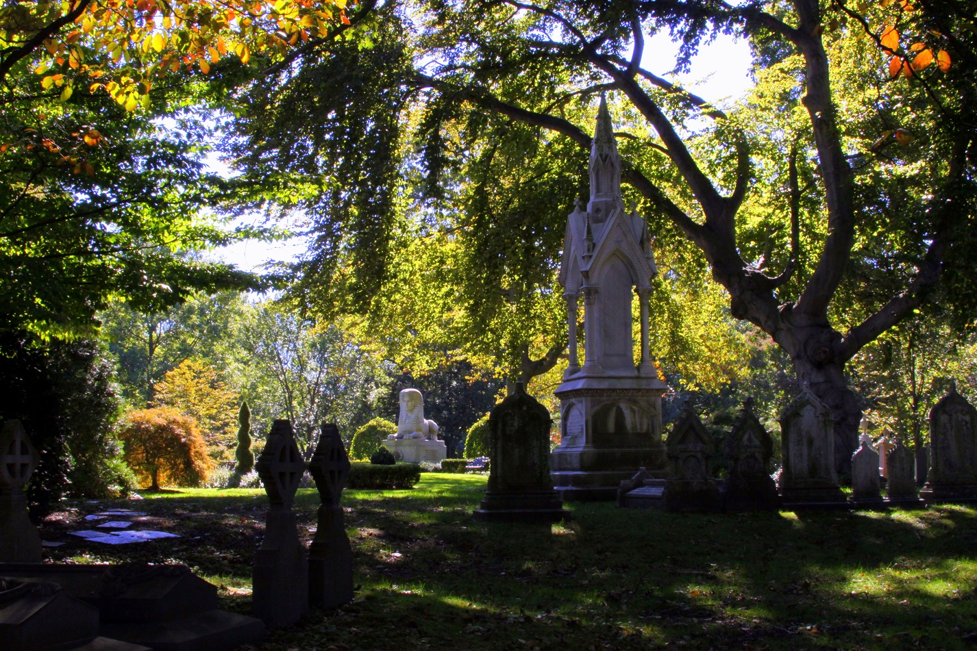OTIS (Odd Things I've Seen) Mount Auburn Cemetery