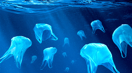 Resultado de imagen de bolsas de plástico en el Océano Atlántico