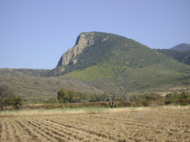 Mexico Mountains