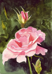 watercolor rose pink painting