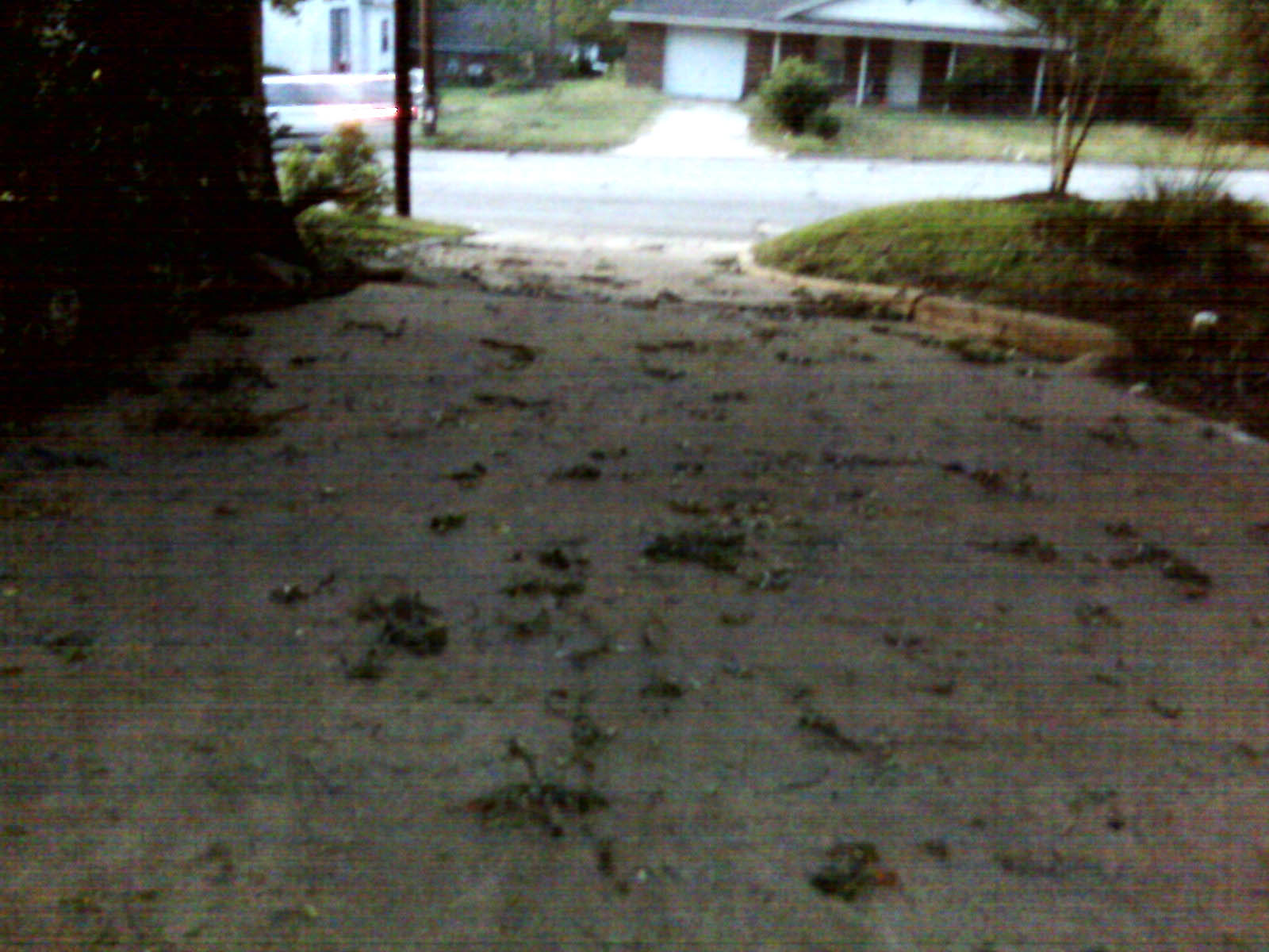 [Ike+-+Driveway+1.jpg]