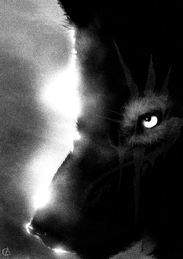 [wolf+in+danger.jpg]