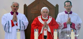 por lo menos 150 mil personas concurrieron a la celebración papal en el santuario de Lourdes, Franc