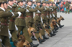 perros policías amestrados por unidad femenina en Chile