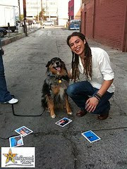 Hollywood Paws' "One-Shot-Wonder" On-Set With American Idol's Jason Castro