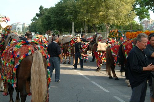 [BF+Ambiente+caballos.jpg]