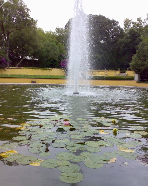 [A+Mafra+jardin.jpg]