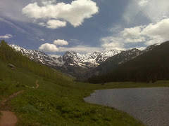 Piney
