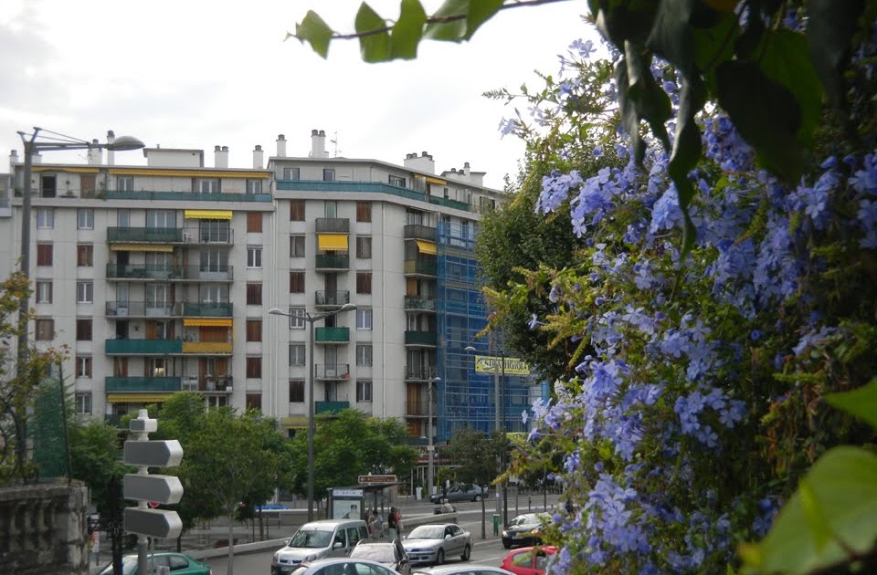Photos et images de Nice Nice Nord