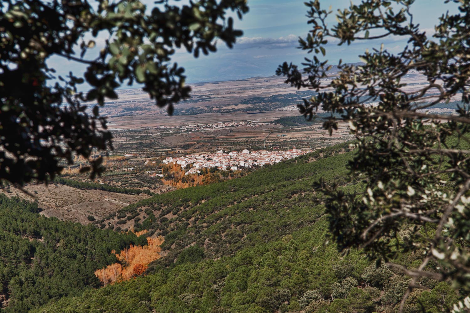 Conocer gente joven en bell-lloc d'urgell Conocer gente joven en bell-lloc d'urgell