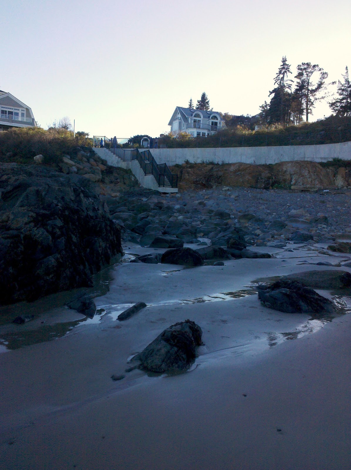 MAINE DOG TRAINER SERVICING DOG TRAINING NEEDS OF MAINE AND BEYOND