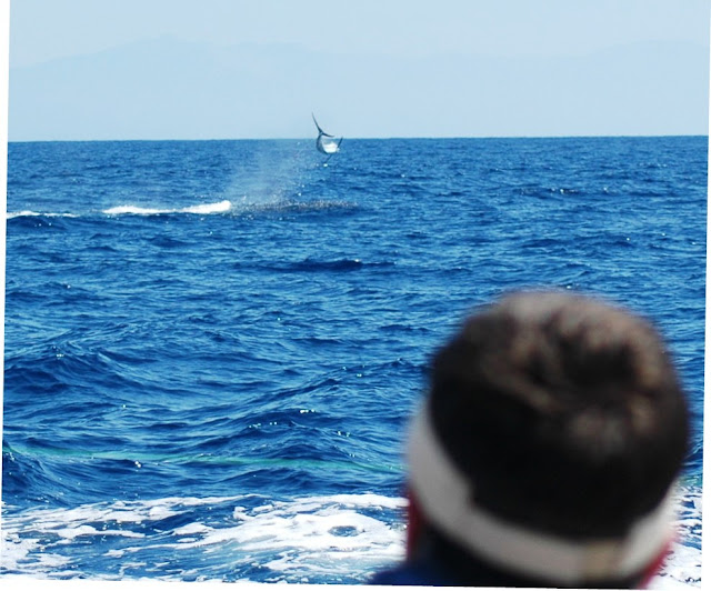 Georgetown Blue Marlin Tournament