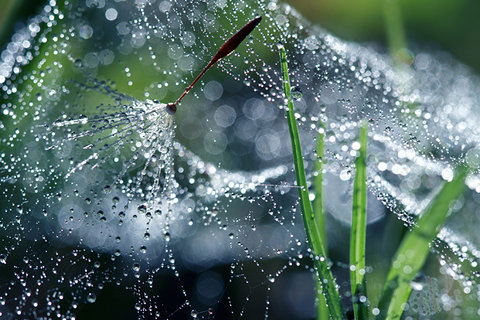 Beautiful photography: Amazing spring photography