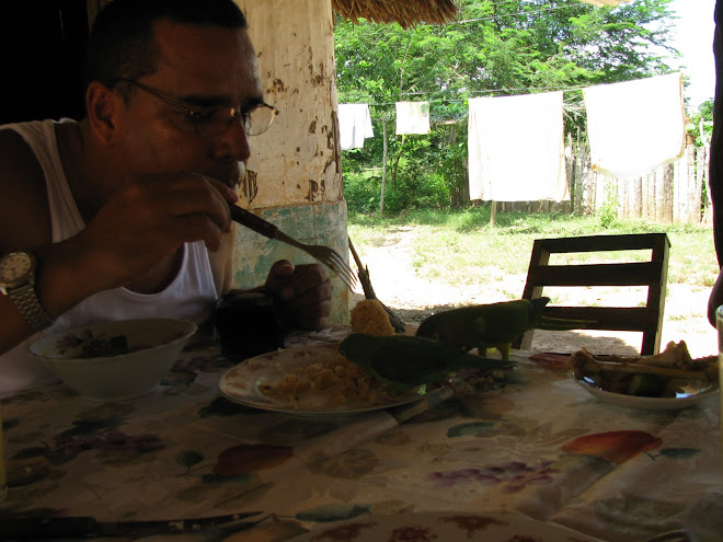 El loro que se comio mi arroz