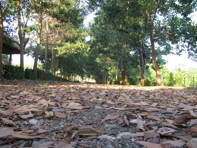 Tierra Buena en Córdoba