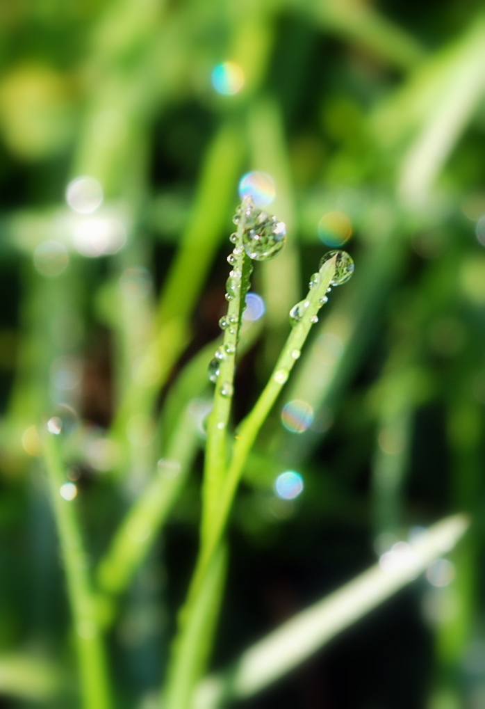 [DSC_0036+-+Copia.JPG]