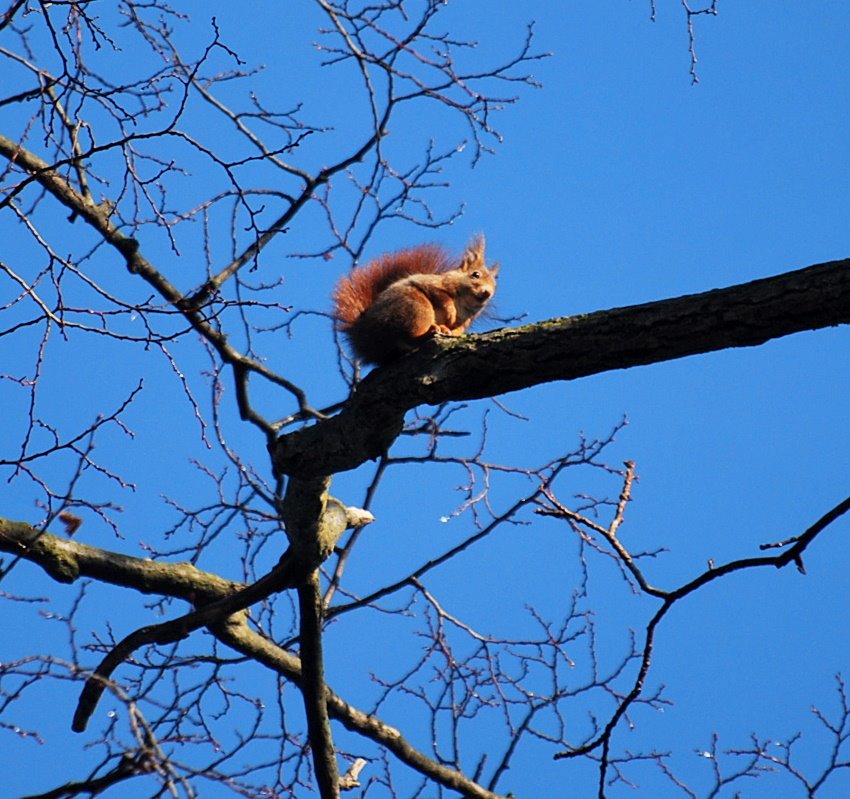 [DSC_0052+-+Copia.JPG]