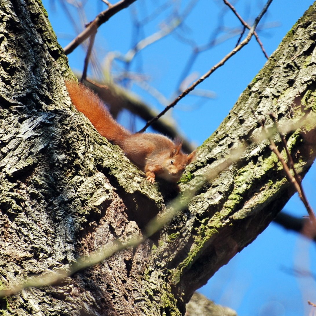 [DSC_0058+-+Copia.JPG]