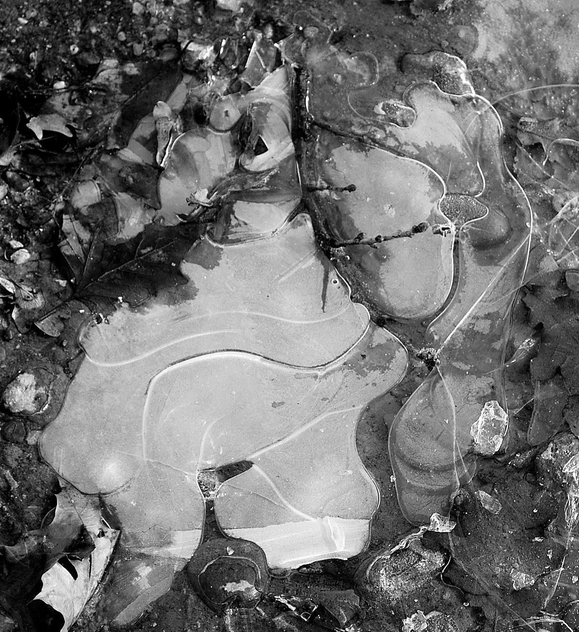 [DSC_0001+-+Copia.JPG]