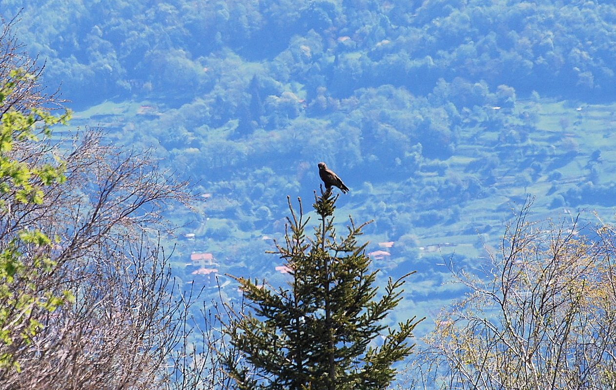 [DSC_0014+-+Copia.JPG]