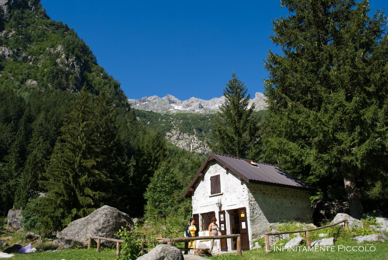 [Masino-071909_00.jpg]