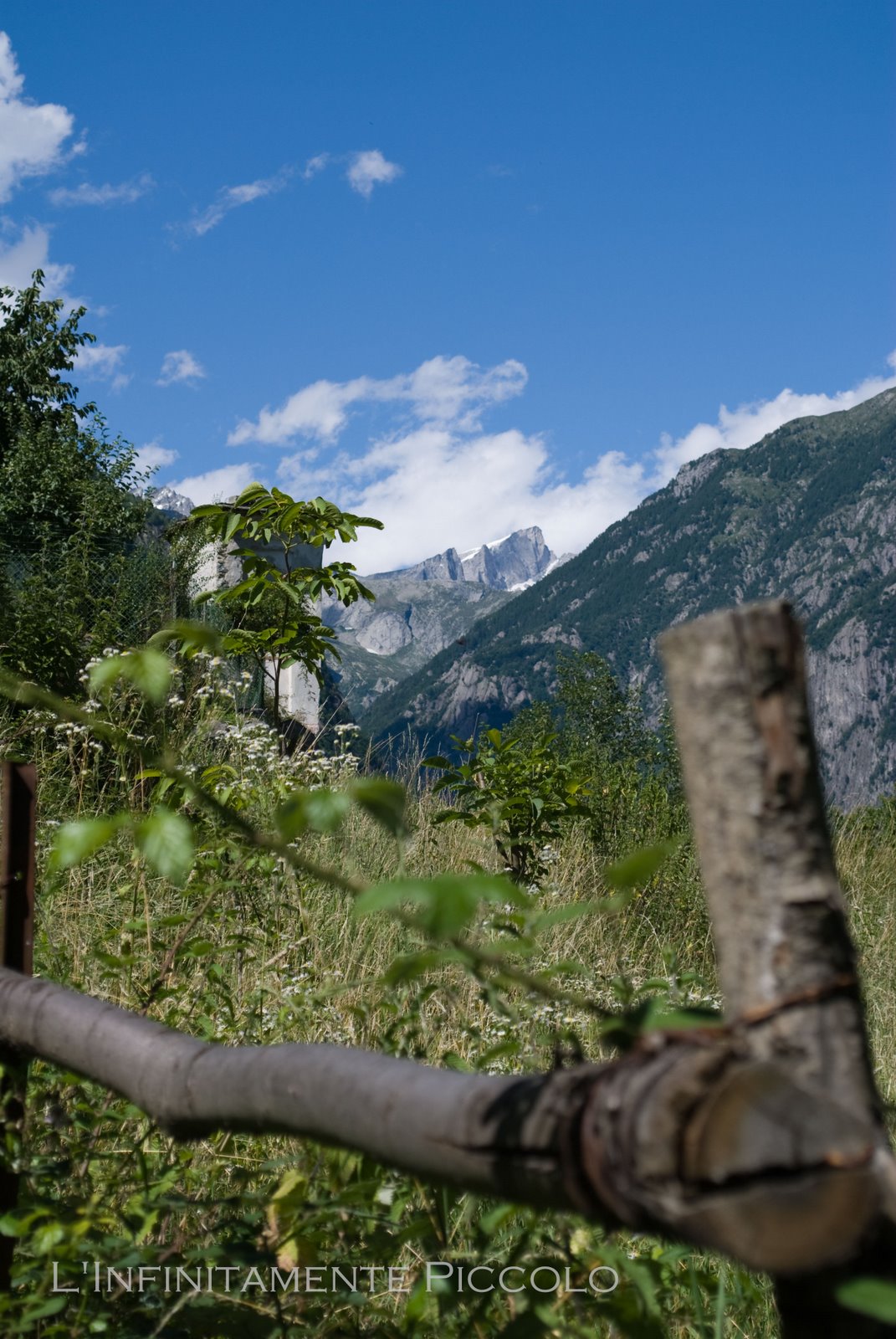 [Masino-071909_55.jpg]