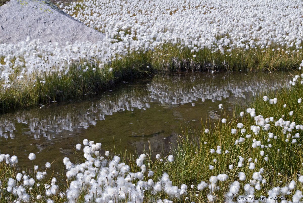 [San+Gottardo+091309_112.jpg]