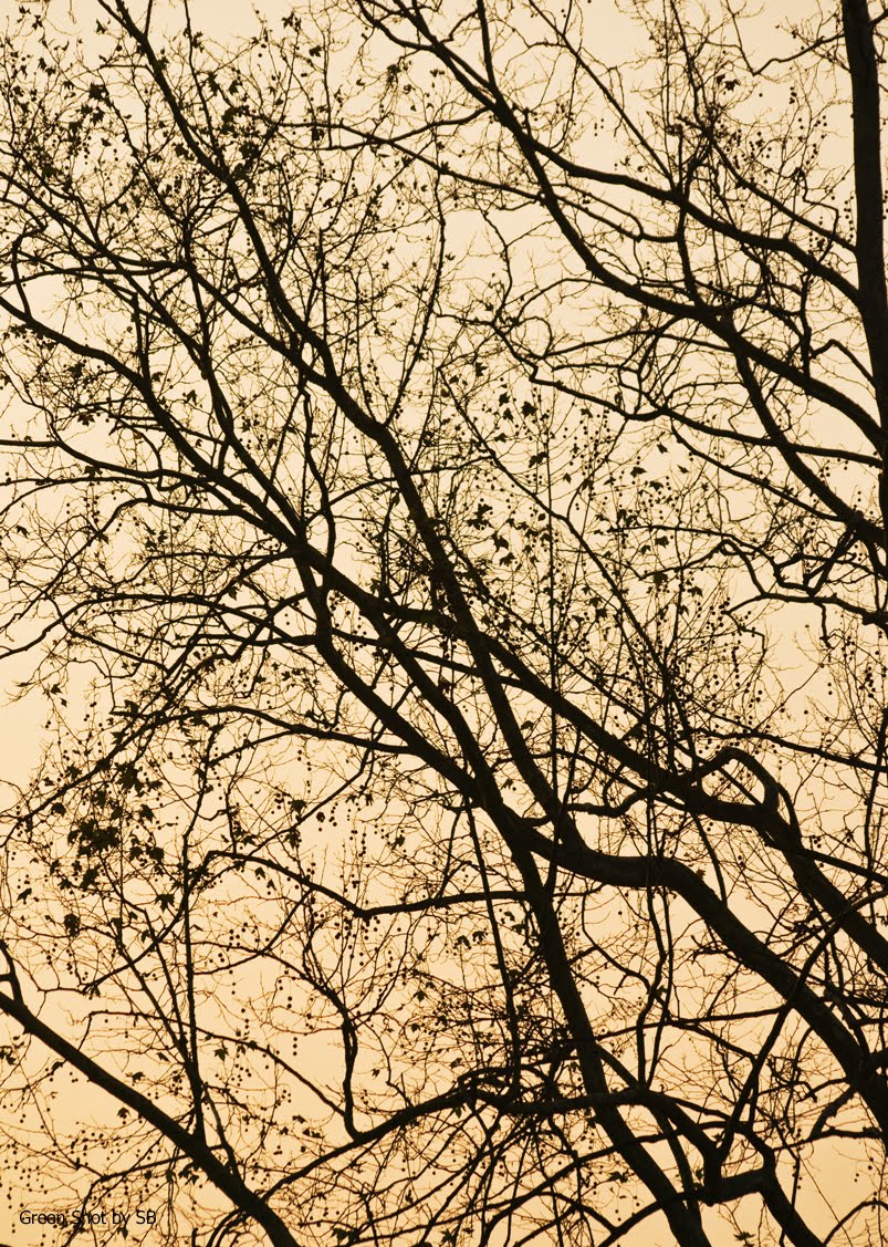 [Parco-di-Monza-10042009_017.jpg]