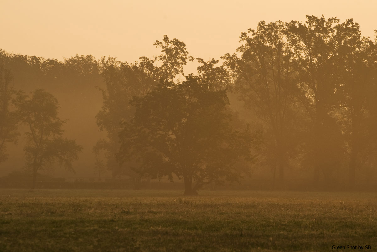 [Parco-di-Monza-10042009_033.jpg]