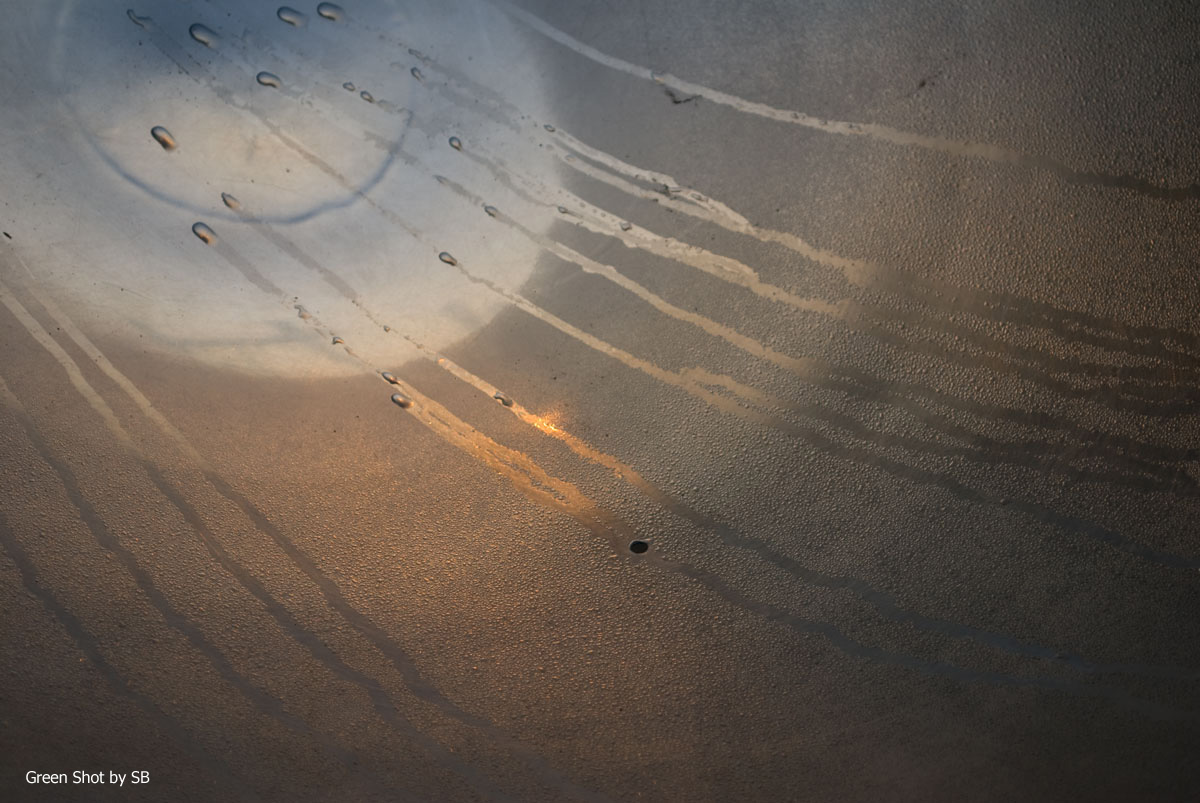 [Parco-di-Monza-10042009_019.jpg]