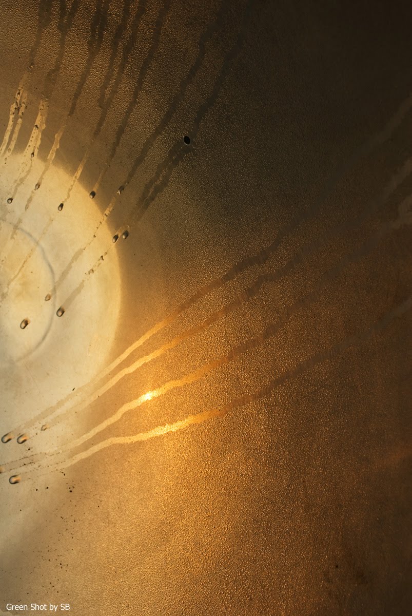 [Parco-di-Monza-10042009_025.jpg]