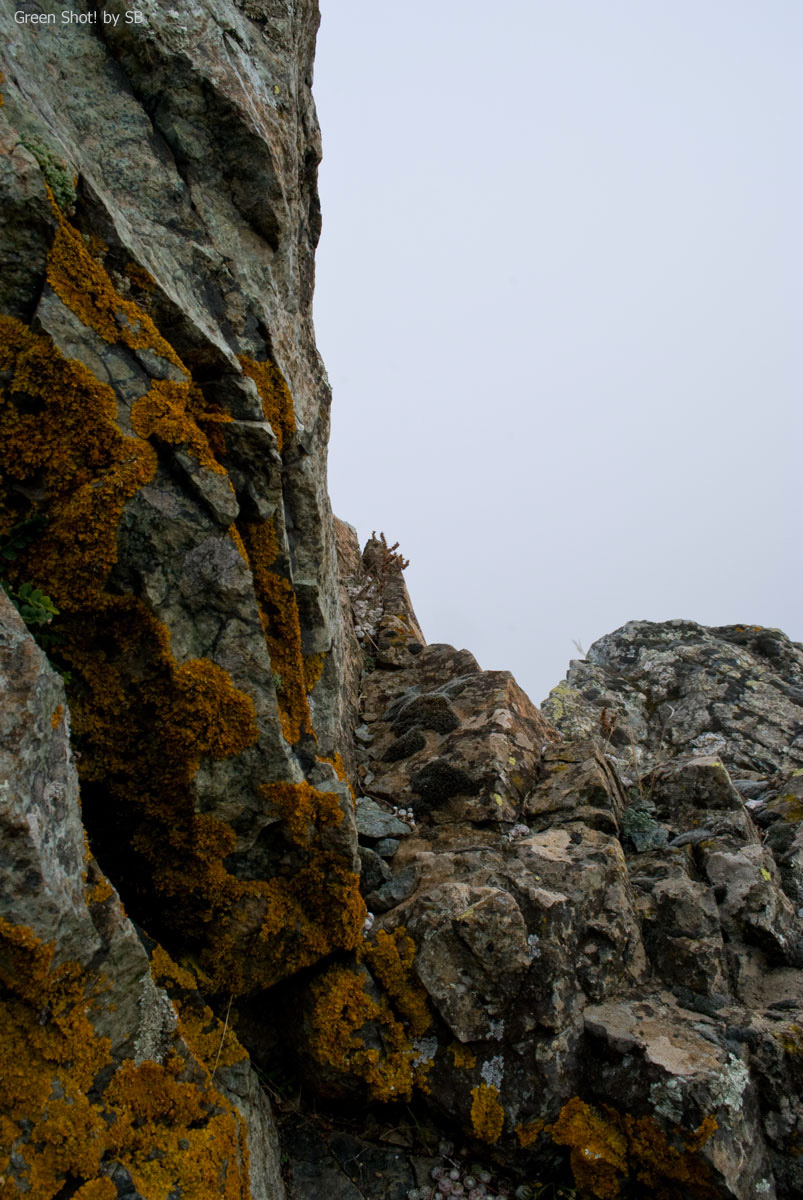 [Parcellara-10312009_040.jpg]