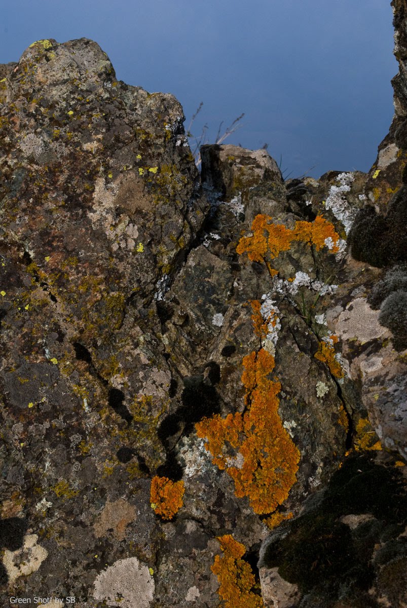 [Parcellara-10312009_026.jpg]