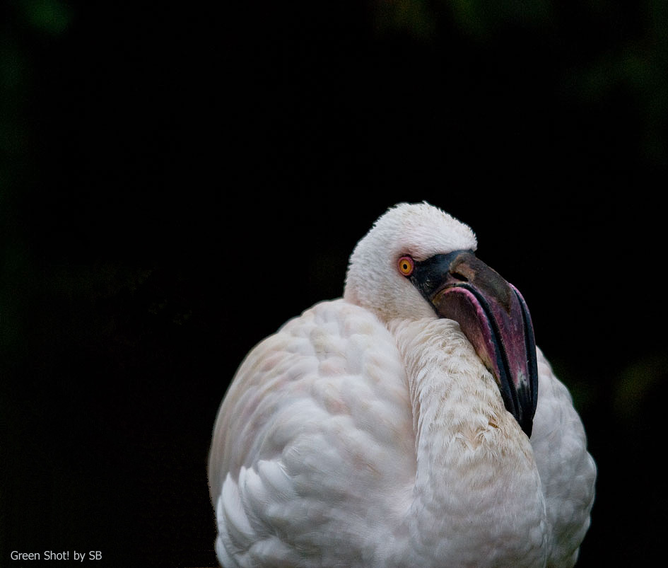 [Le-Cornelle11152009_085.jpg]