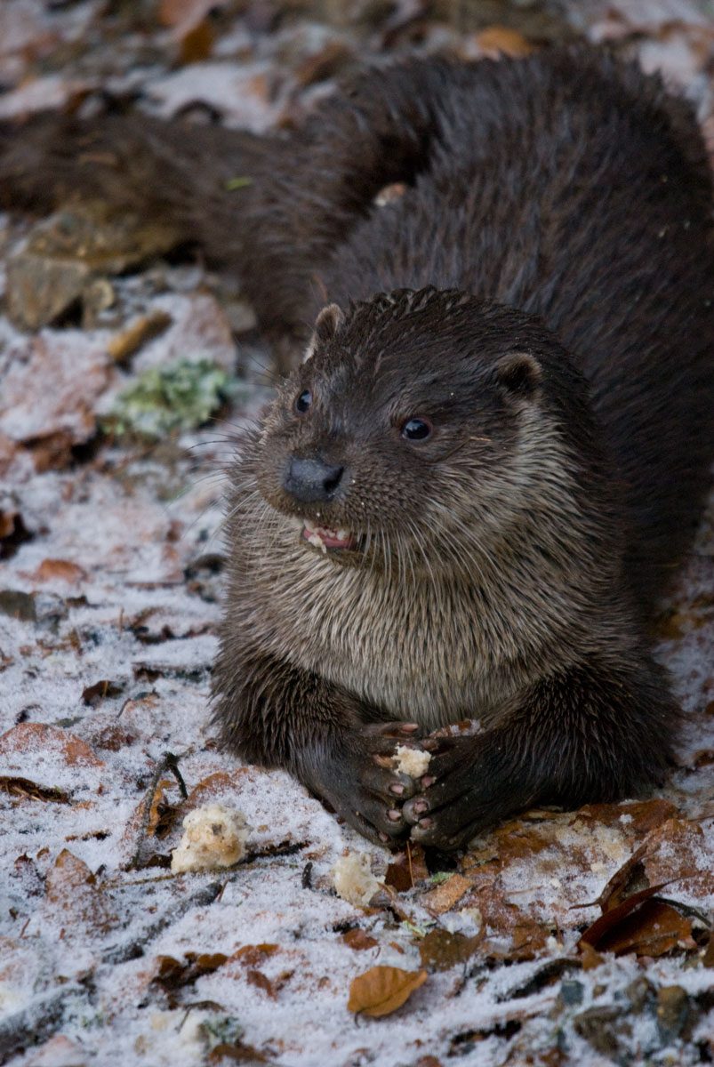 [Bayerischer-Wald-051209_09.jpg]