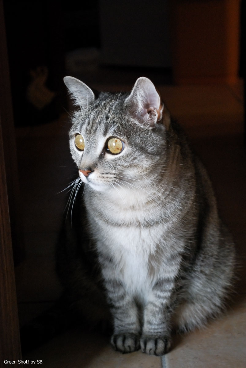 [Micky_013_251209.jpg]