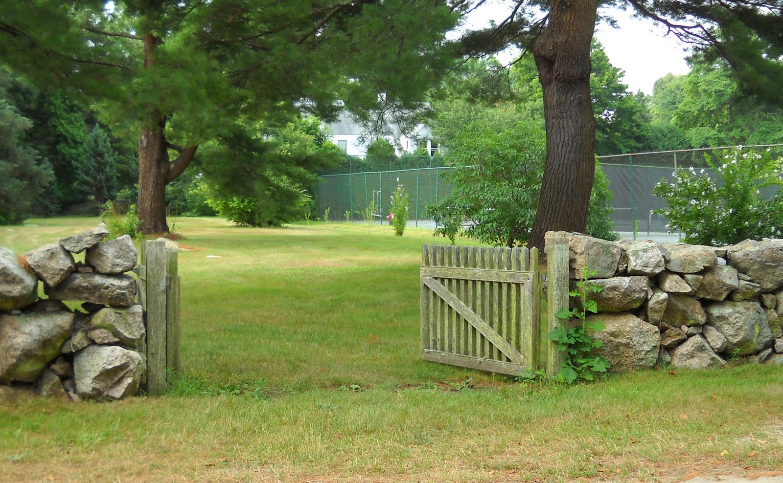 In Everything Give Thanks: Open gate